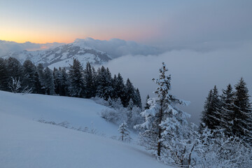 Fototapeta premium RIGI - KÖNIGIN DER BERGE