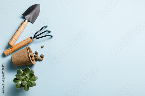 Gardening tools on blue background. Spring garden works concept. World environment day, arbor day, International mother day. Top view. Copy space