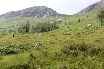 A view of the Scottish Mountains near Ben Nevis