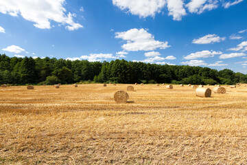 Fototapeta na wymiar stacks of their wheat straw