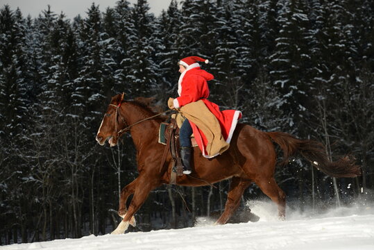 western santa. Weihnachtsmann auf einem Pferd im Schnee