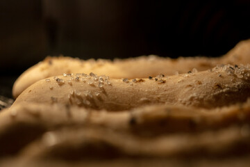 close up of bread baking in ofen, at home, bakery, low key, colored, recipe, fresh daily bread with salt