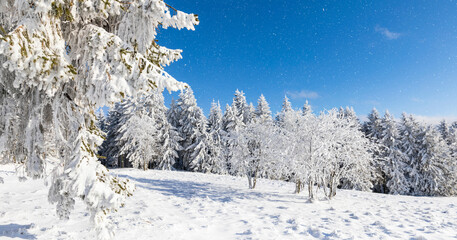 Winter im Thüringer Wald, eine Winterlandschaft mit Schneefall und blauer Himmel, Panorama.