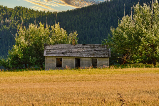 Beautiful view of a cottage near the forest on a sunny day