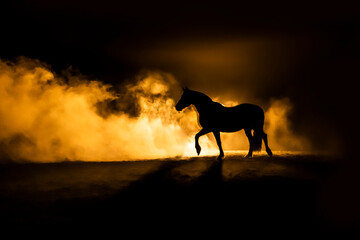 Horse silhouette on orange smokey back ground
