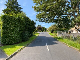 Looking up, Hillway, on a sunny day in, Guiseley, Leeds, UK