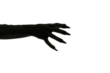 Scary monster on white background, closeup of hand. Halloween character