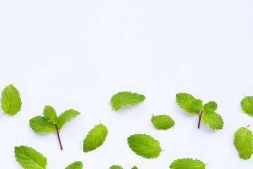 Fresh mint leaves isolated on white background. Copy space