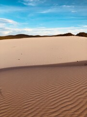 sand dunes in park