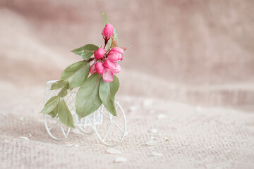 Pink bud of blooming cherry on a small decorative trolley, bike cart, blurred pastel background, soft focus. Concept of spring
