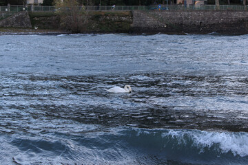 river in winter
