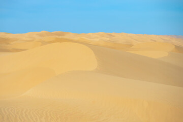 Fototapeta na wymiar A high-quality horizontal background of a desert with sand dunes and a blue sky. 