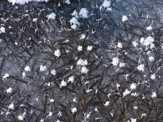 フロストフラワー