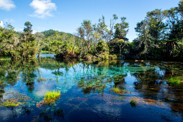 Te Waikoropupū Springs