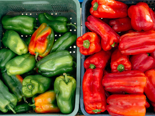 boxes of red and green bell paprika