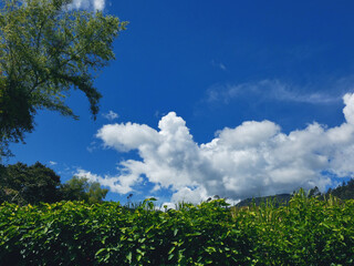 Cielo despejado sobre una finca
