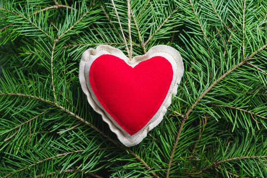 Red textile heart on green pine tree background. Valentines day symbol of love, Christmas Decorations. Winter natural rustic greeting card template with copy space. - Powered by Adobe