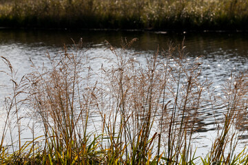 influence and impact of the autumn season on nature