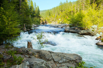 Whitewater, Green Forest