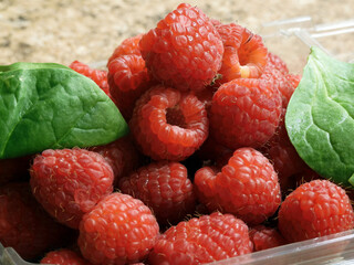 Raspberries in a pile