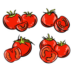 Tomatoes set illustrations in vector on white background. Hand drawn tomatoes for food packing design. Illustration of vegetables. Vegan concept.