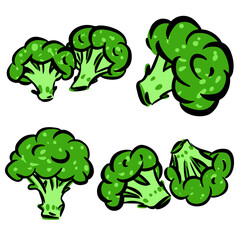 Broccoli set vector illustration in modern style. Hand drawn broccoli illustration for packing design, eco food