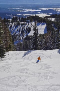 skier on the downhill slope above a chair lift