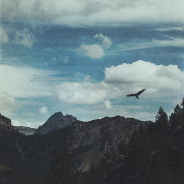 Bird flying over peaks surrounding Valmalenco valley