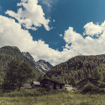 Stone houses in forested Valmalenco valley