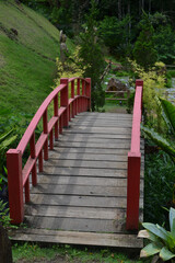 Obraz premium wooden bridge in the forest