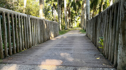 A grey wooden bridge at a tropical Florida botanical garden.