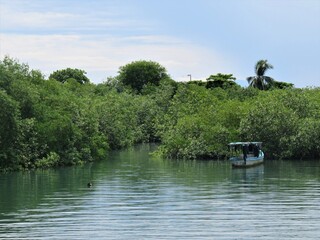 boat on the river in mangrove of Costa Rica