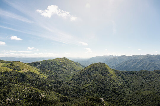 Green forested hills and blue sky