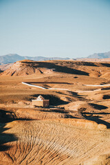 desert landscape