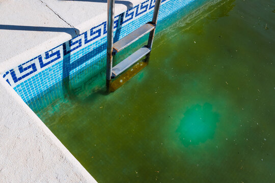 Abandoned swimming pool with green rotten water outdoors.
