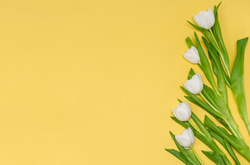 A bouquet of white tulips on a yellow background with place for text.
