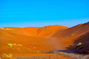 Obraz na płótnie Canvas Scenic View Of Desert Against Clear Sky