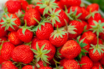 strawberries on the background