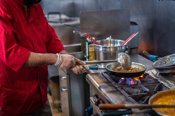 Chef preparing cooking and serving indian cuisine dish