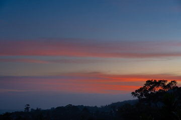 Fototapeta premium Silhouette of a large tree against the sky at sunset. View from balcony.