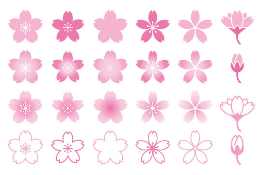 桜の花のカラーアイコンセット/白背景