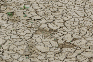 cracked soil pattern in slovenia Cerknisko jezero
