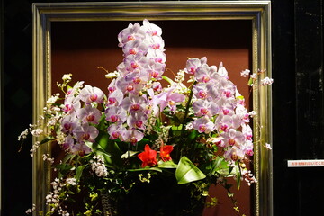 ピンク色の蘭の花のフラワーアレンジメント