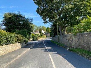 View along, Stang Lane, with stone walls, old trees, and cottages, on a sunny day in, Farnham, Harrogate, UK