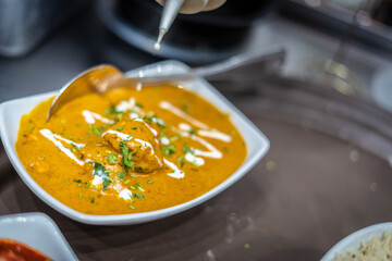 Indian style curry dish