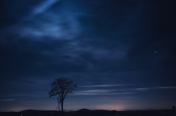 Fototapeta na wymiar Low Angle View Of Silhouette Tree Against Sky At Night