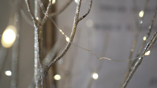 CU Branches with string lights and silver glitter