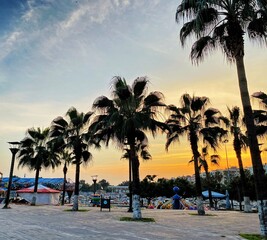 Obraz premium Beautiful and stunning sunset view with palms, boats and residential buildings around