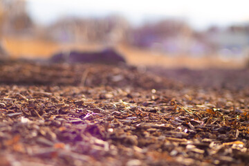 Close Up of Dirt and Wood Chips