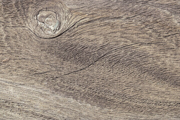 Natural Wood Texture. 